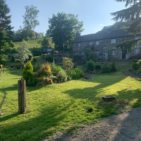 Appartamento Pant-Y-Creolen Llanfyllin Esterno foto