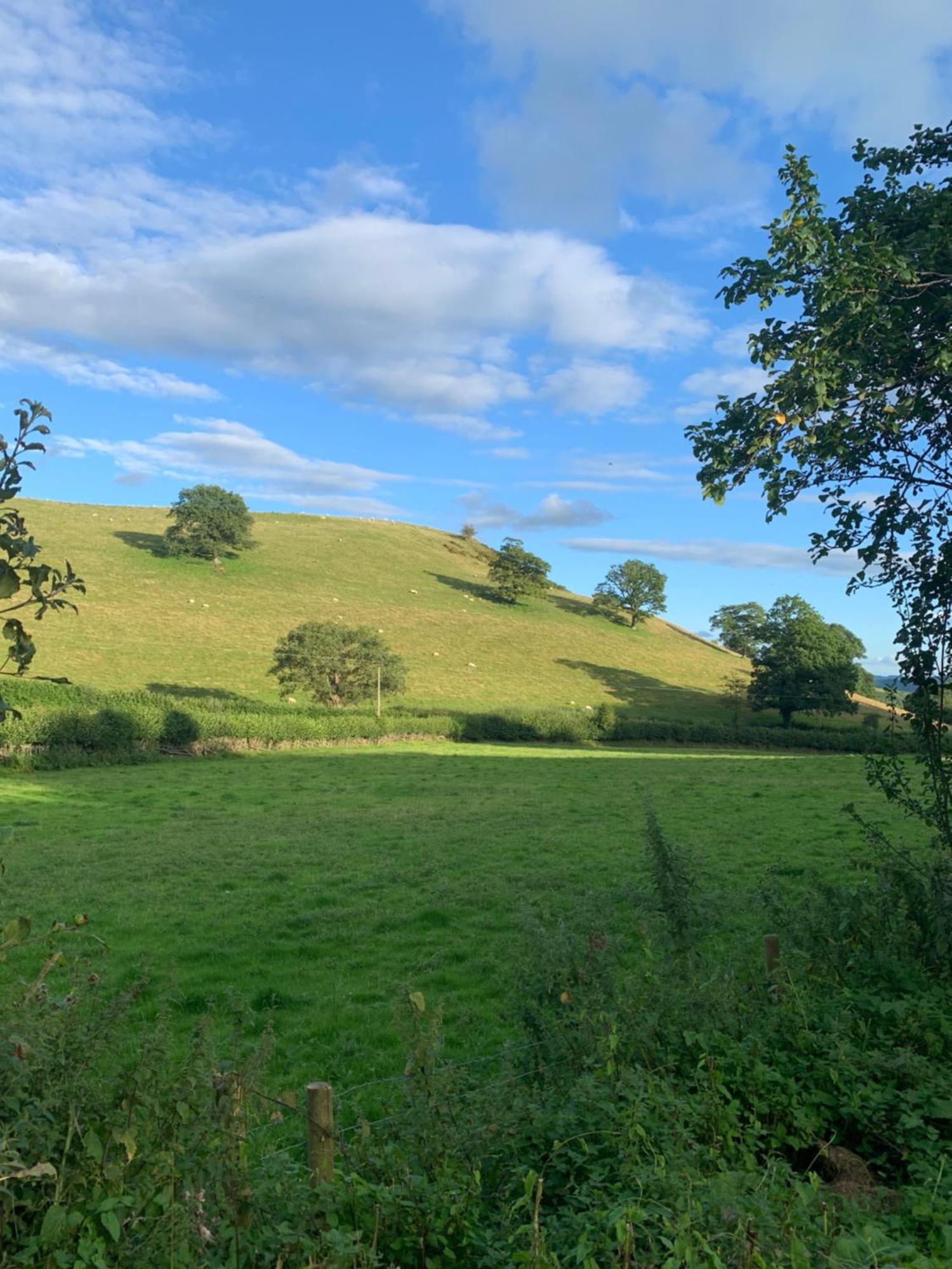 Appartamento Pant-Y-Creolen Llanfyllin Esterno foto