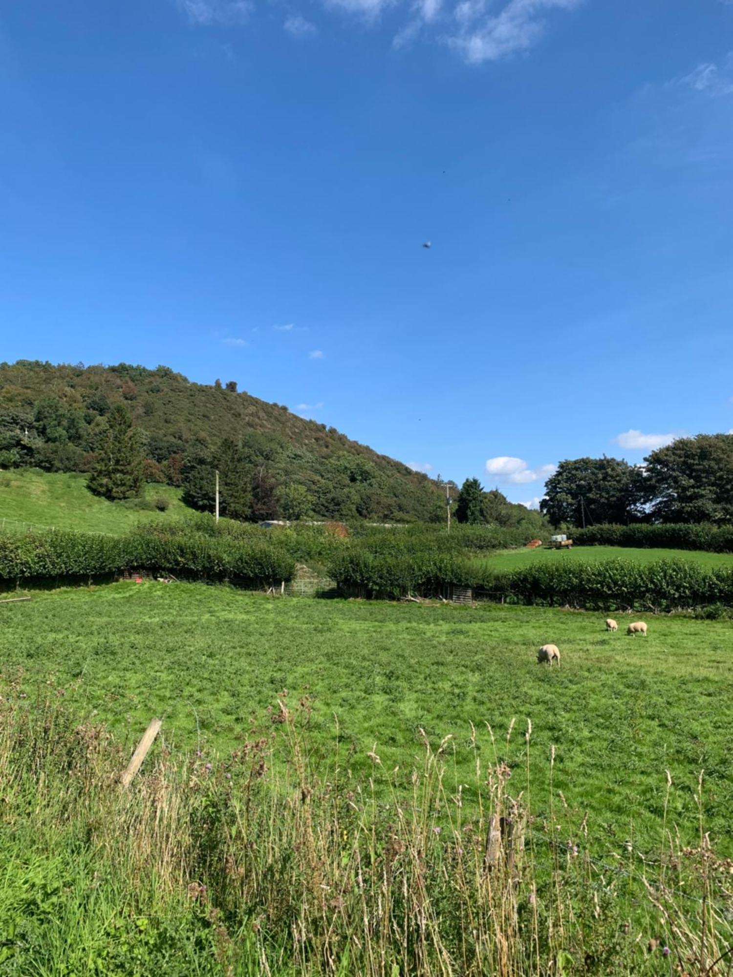 Appartamento Pant-Y-Creolen Llanfyllin Esterno foto
